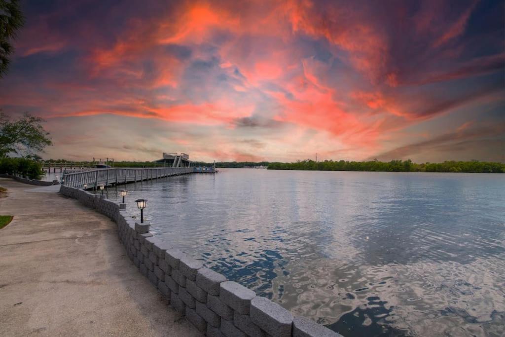 Waterfront Paradise on Tampa Bay with Pool